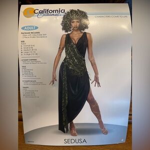 California Costumes Sedusa Black Dress with Gold Details